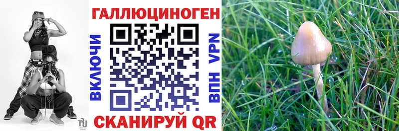 Галлюциногенные грибы Psilocybe  Купить  Нестеровская 