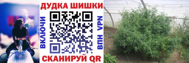 Марихуана Bruce Banner Купить где Нестеровская